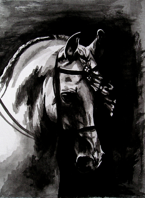 Aquarell eines Lusitanos