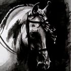 Aquarell eines Lusitanos