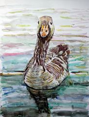 Aquarell Graugans "Elvira"