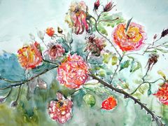 Aquarell "Heckenrosen"