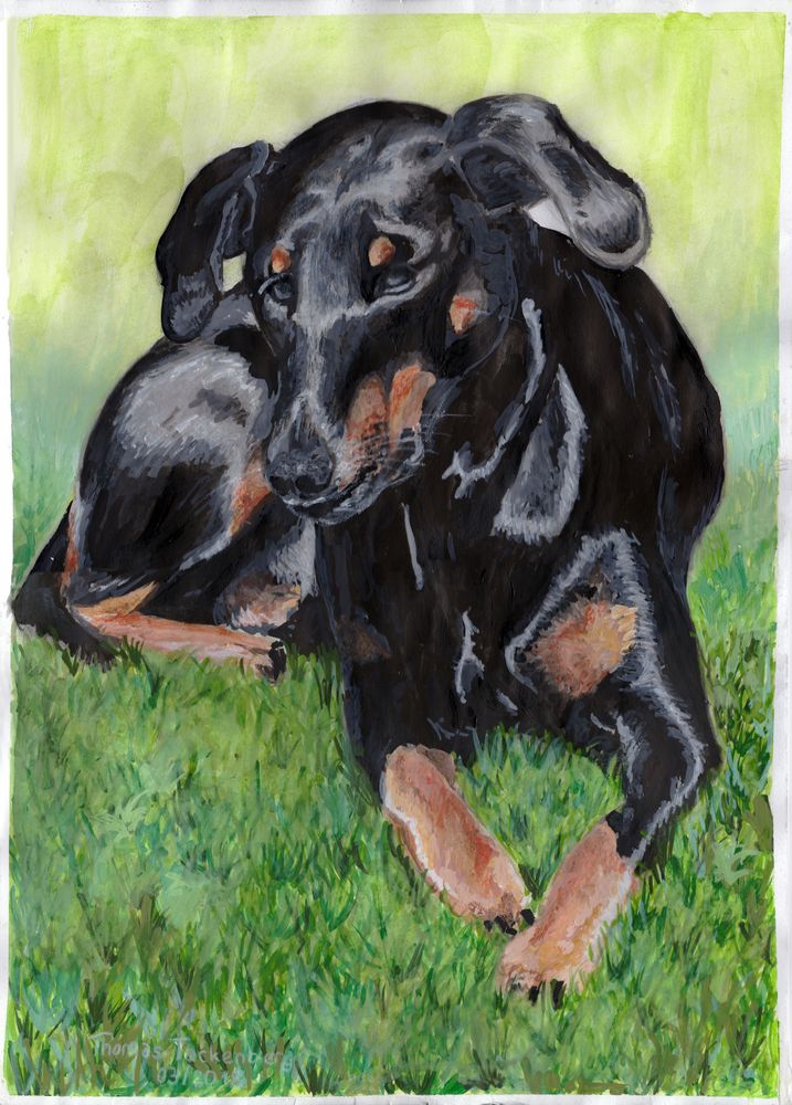 Aquarell - Hund (30x42cm)