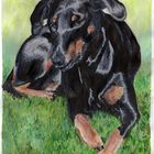 Aquarell - Hund (30x42cm)