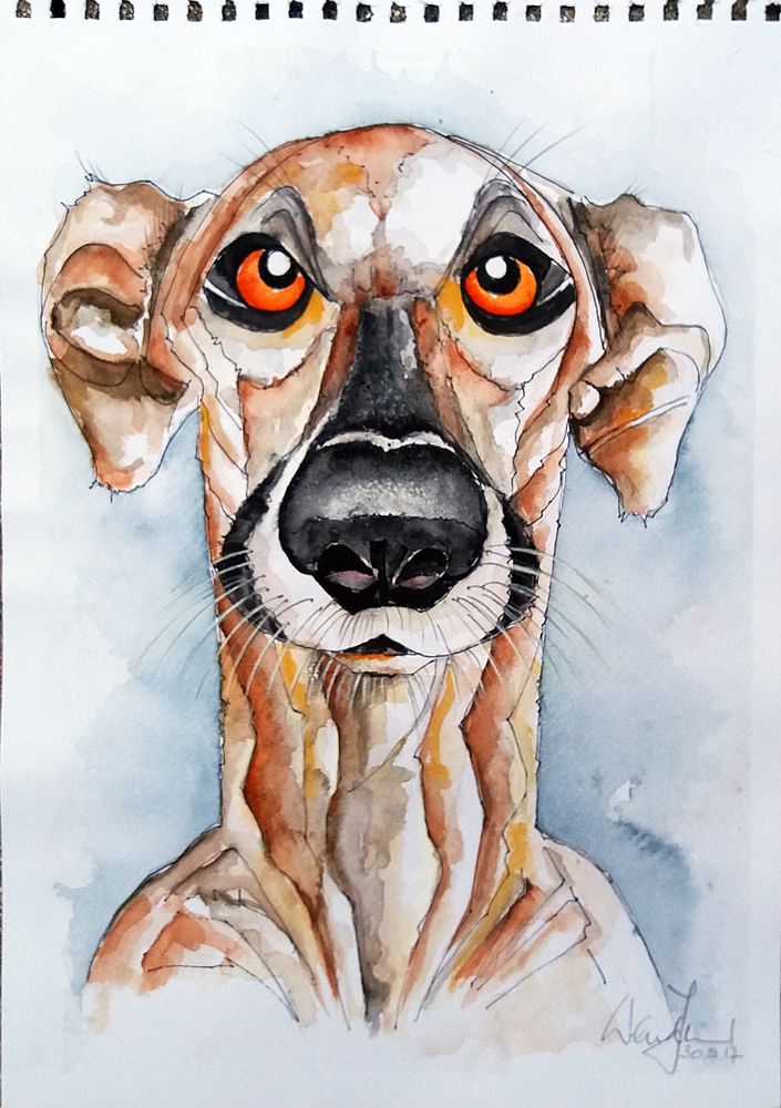 aquarell hund
