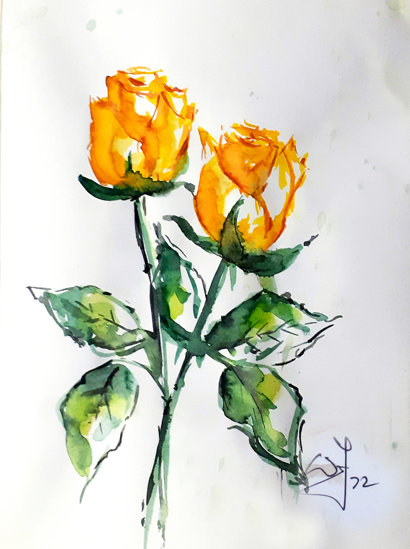 Aquarell Rosen...I