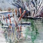 Aquarell: Schilf im Winter