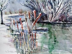 Aquarell: Schilf im Winter