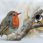 Aquarell Singvögel ...2