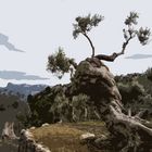 Aquarell von Olivenbaum