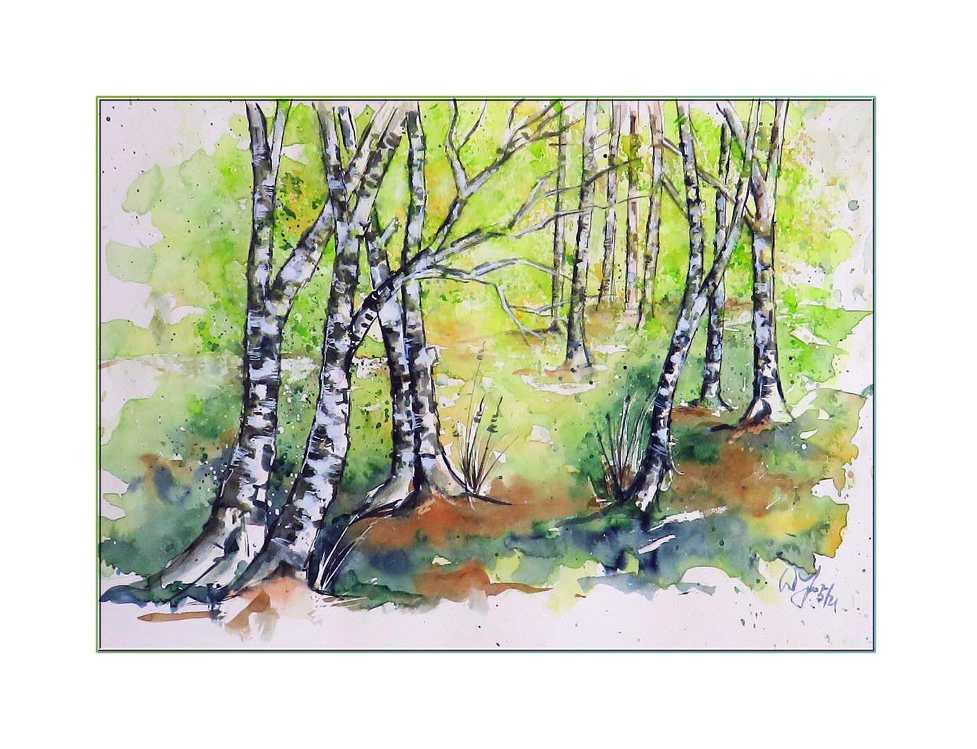 Aquarell_Birkenfrühling 