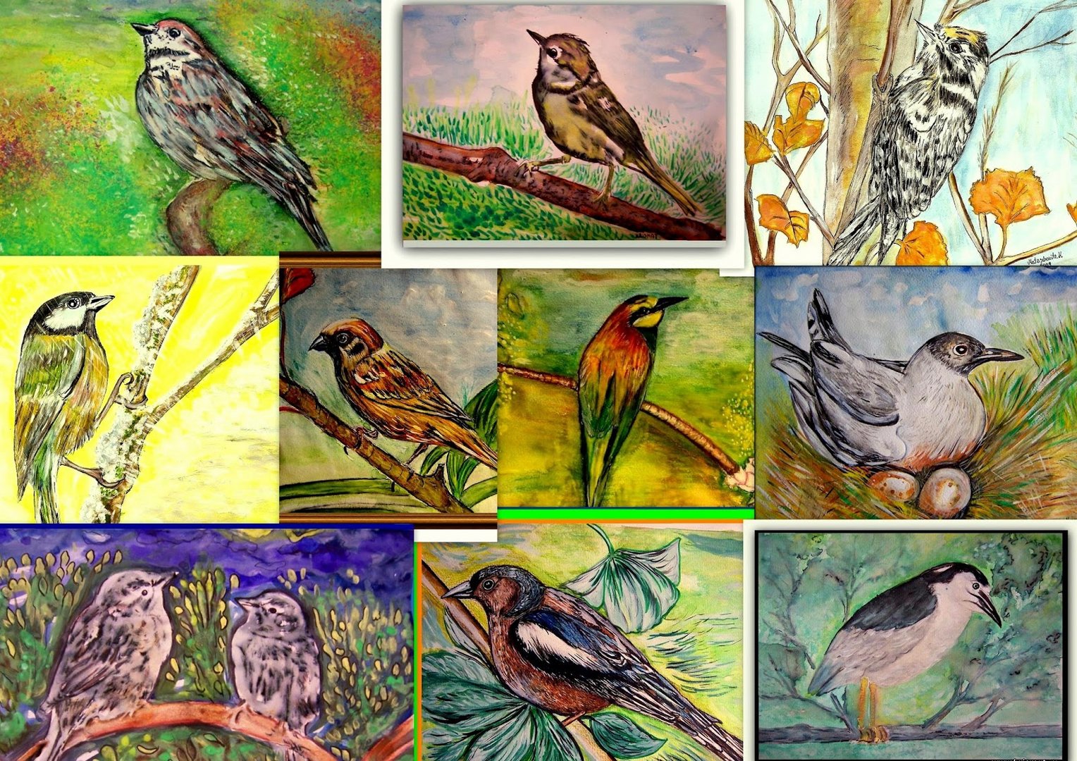 aquarelle Bilder Vogel