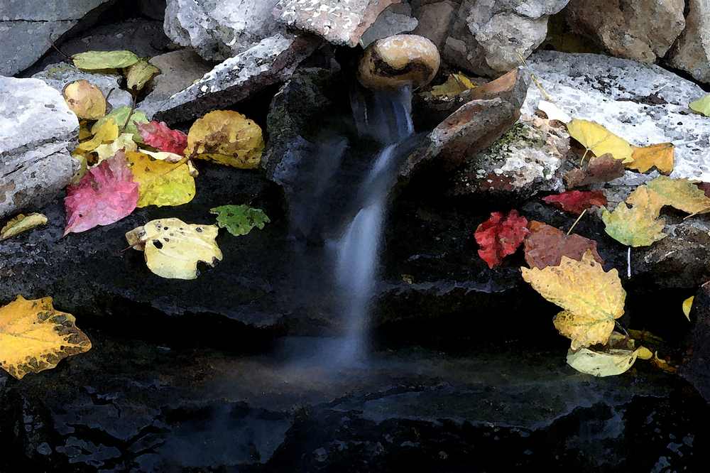 Aquarelle de feuilles d'automne de HCOL 