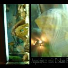 aquarium