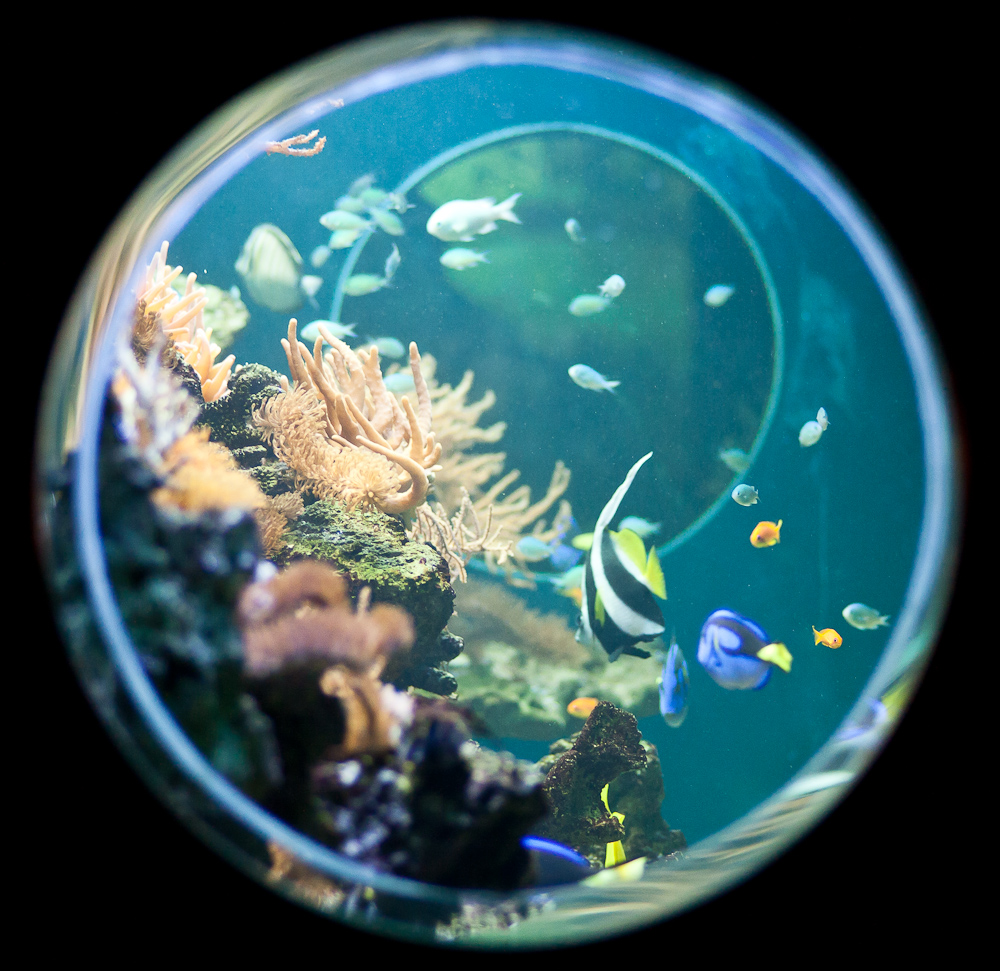 Aquarium