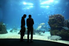 AQUARIUM EXPO GELÄNDE LISSABON