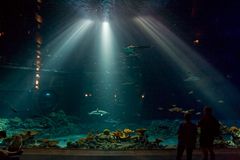 Aquarium Hagenbeck