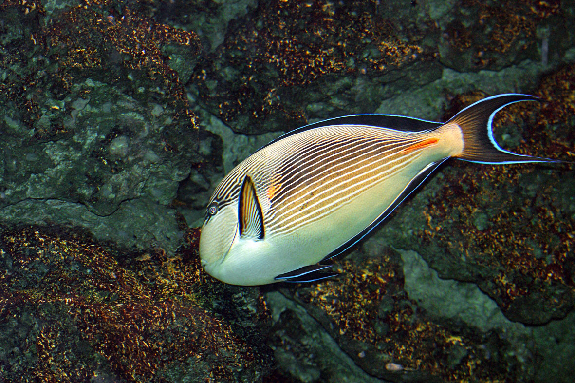 Aquarium-Haus - Leipziger Zoo 1