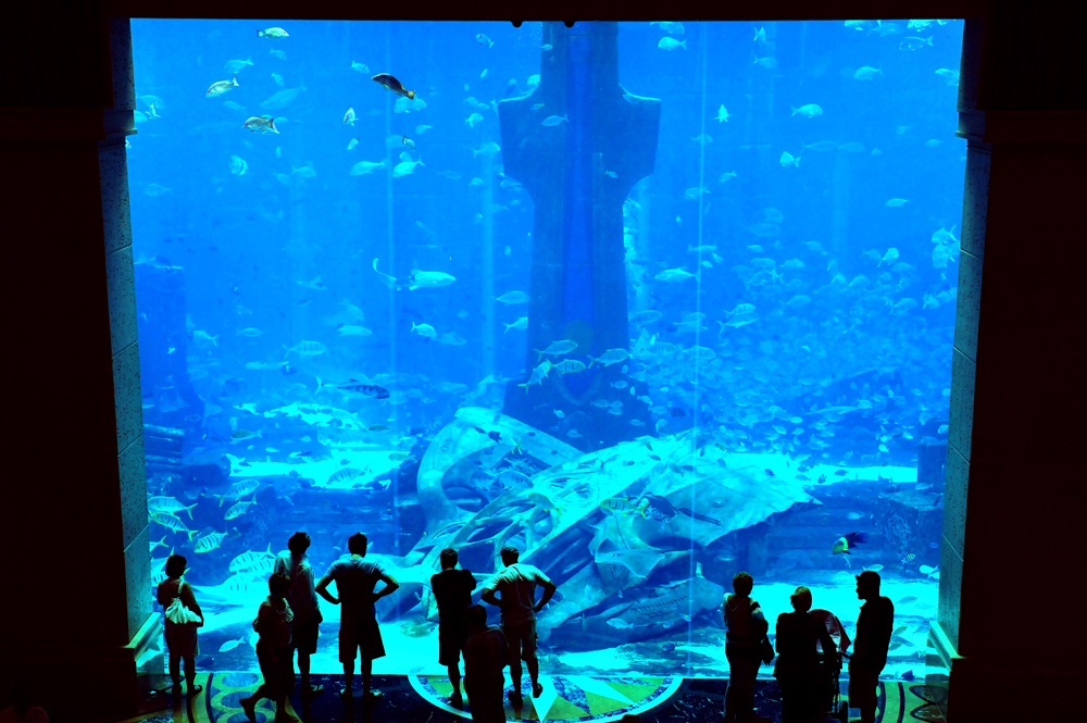 AQUARIUM IM ATLANTIS PALM