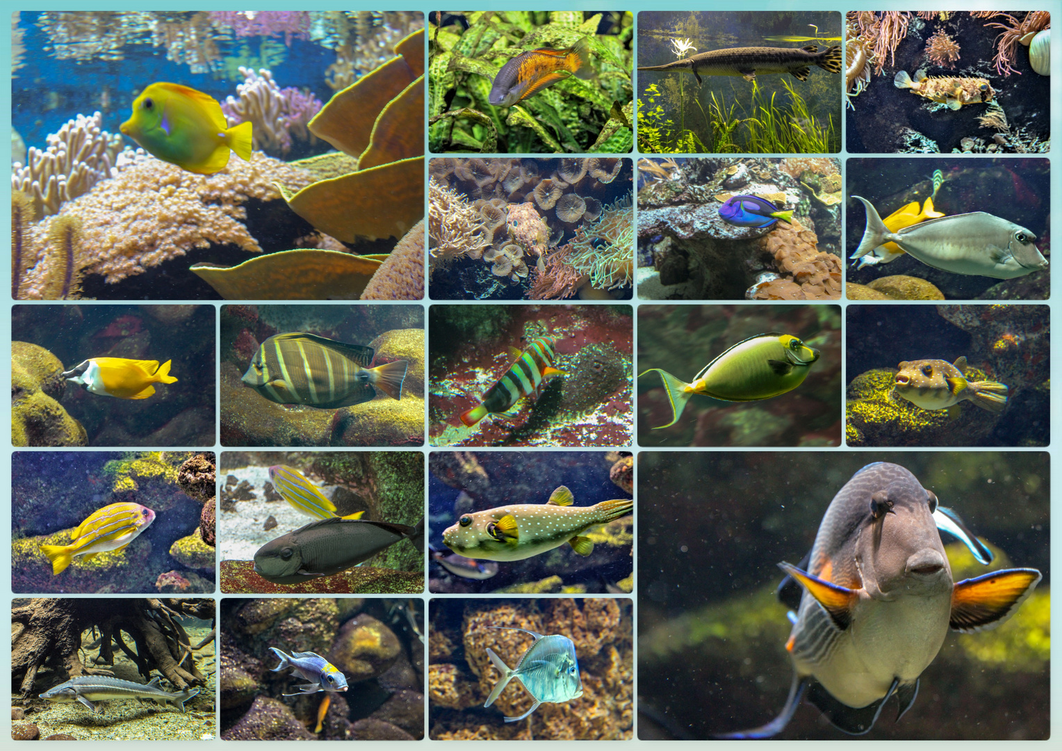 Aquarium im Basler Zoo