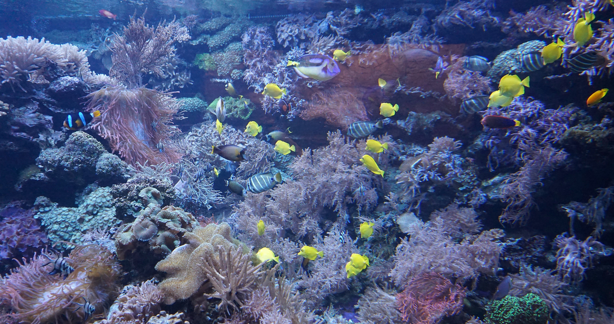 Aquarium im Duisburger Zoo