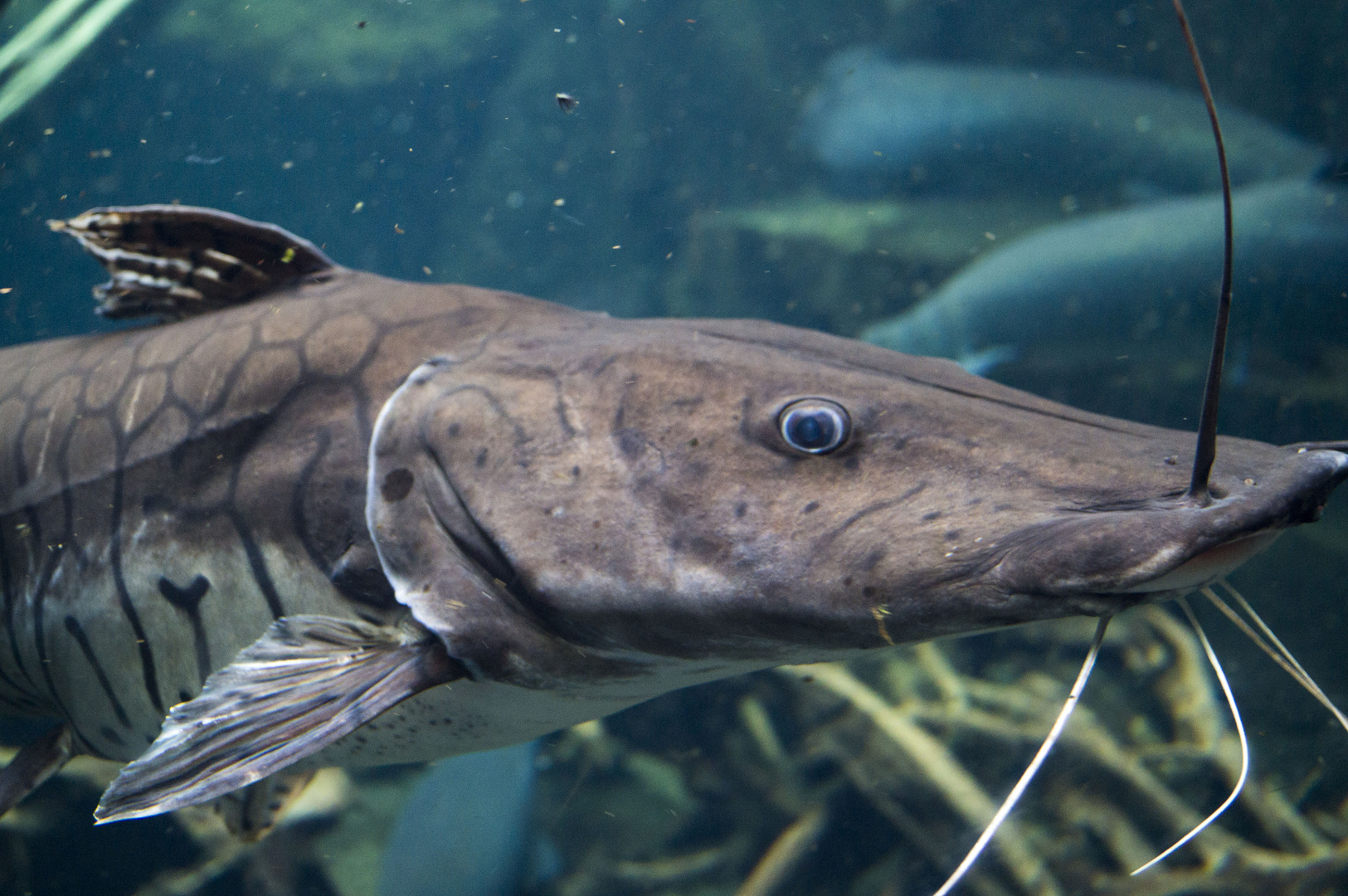 Aquarium im Leipziger Zoo