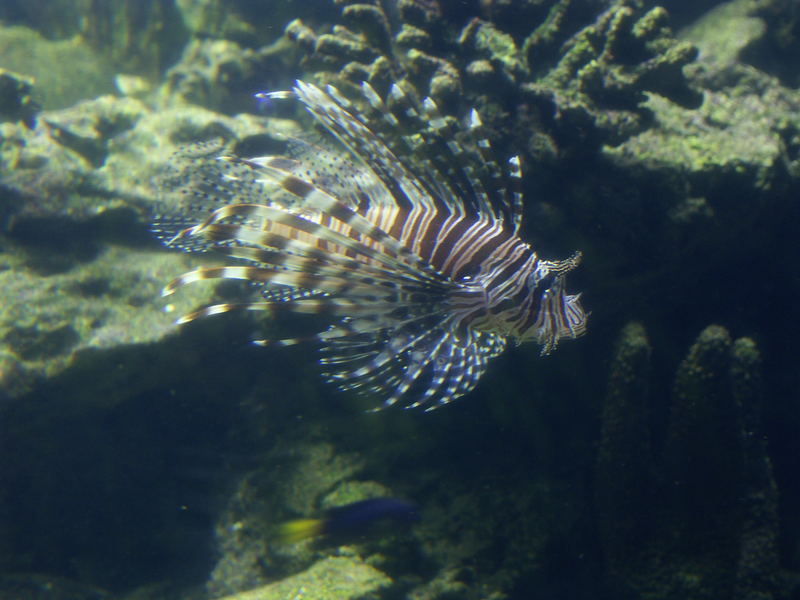 Aquarium im Zoo Leipzig