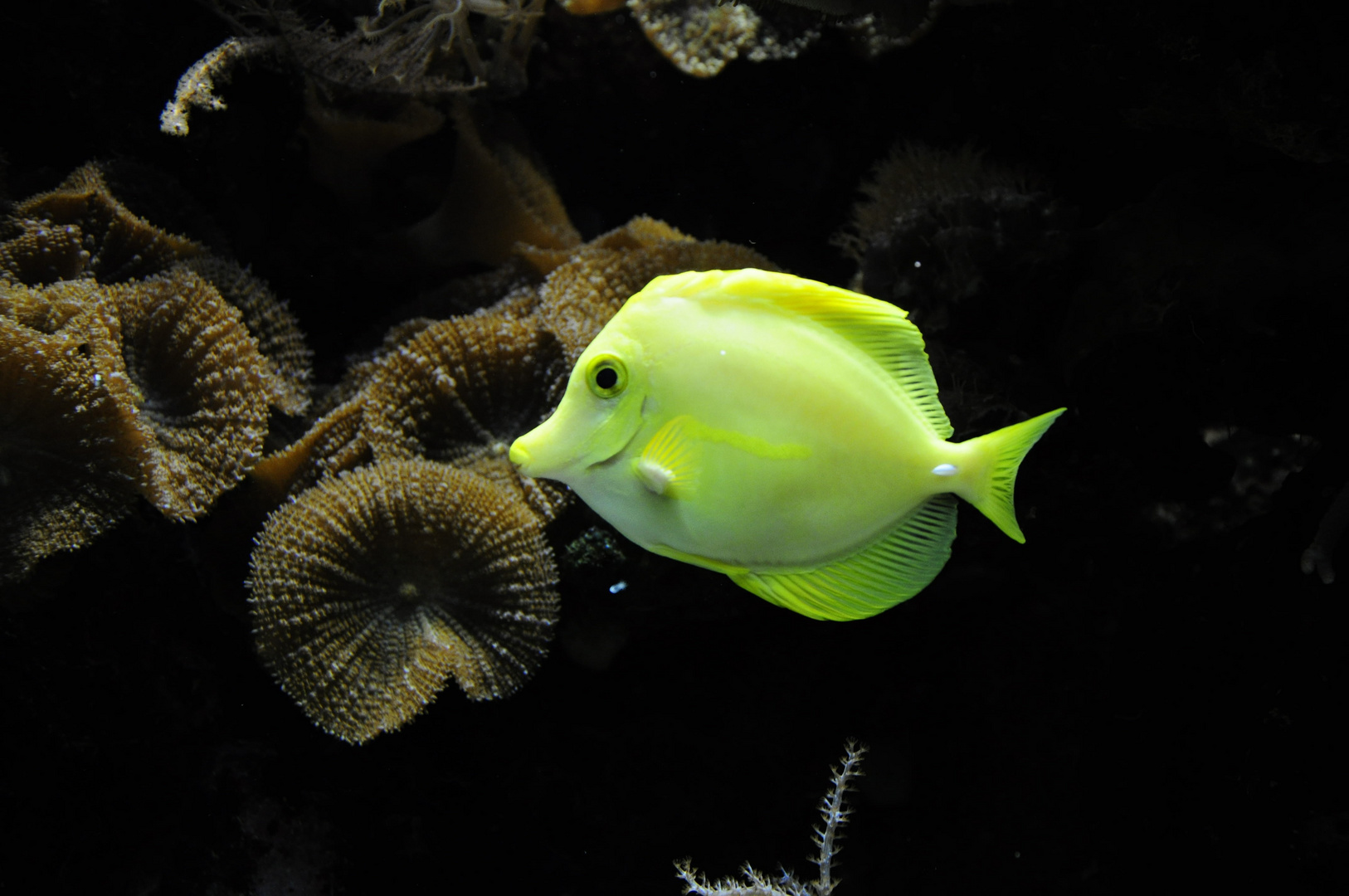 Aquarium in Wuppertal - Teil 2