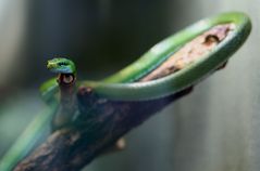 Aquarium Leipzig