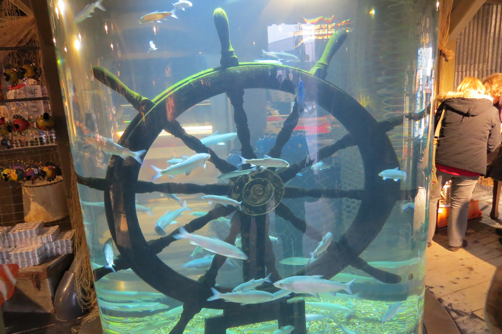Aquarium mit Ruder