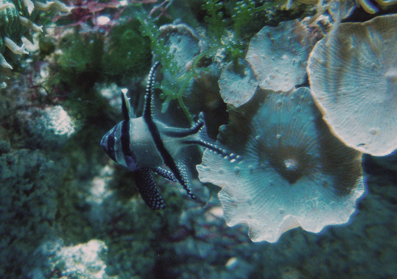 Aquarium SEA LIFE Konstanz