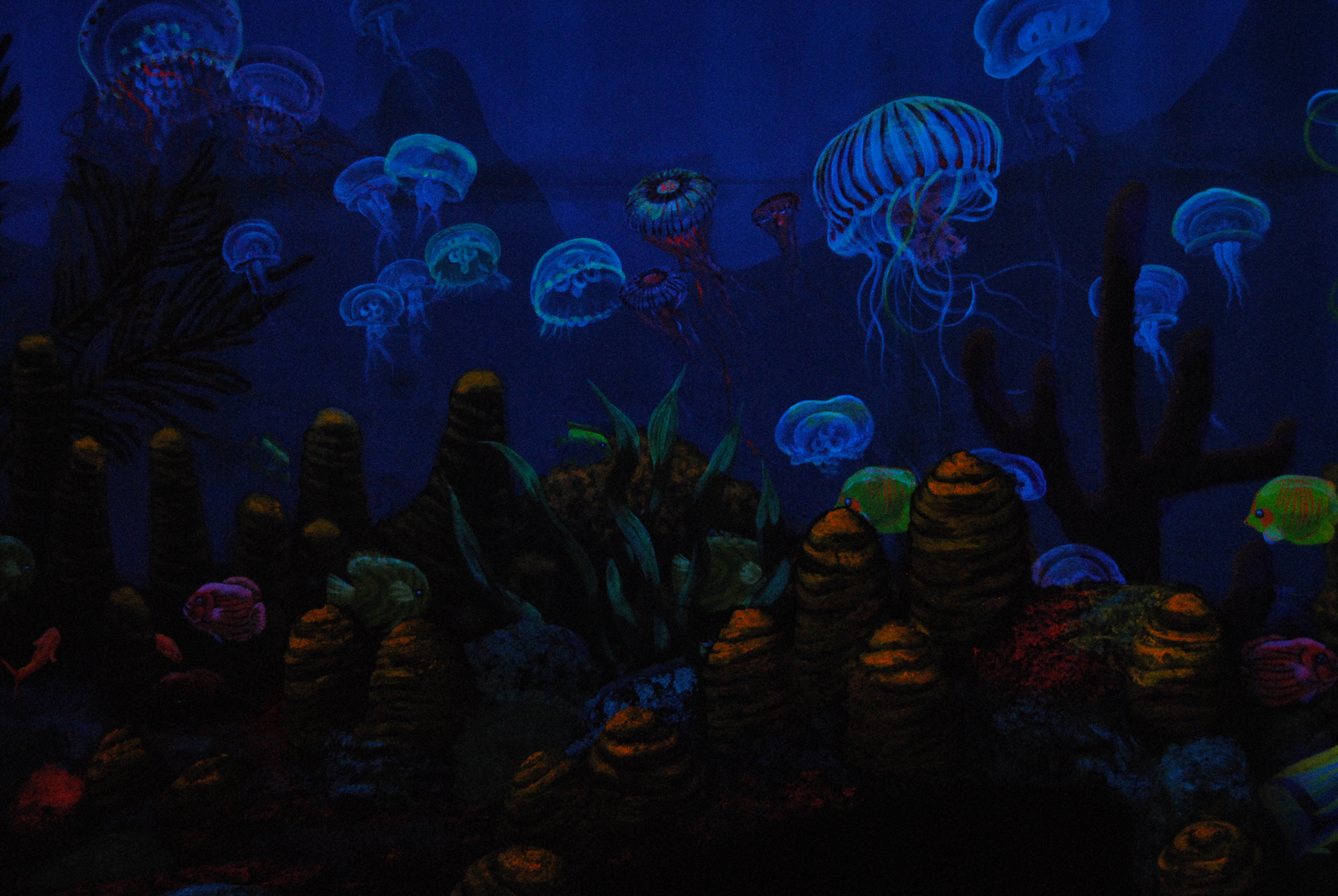 Aquarium Unterwasser Fische Lichterspiel