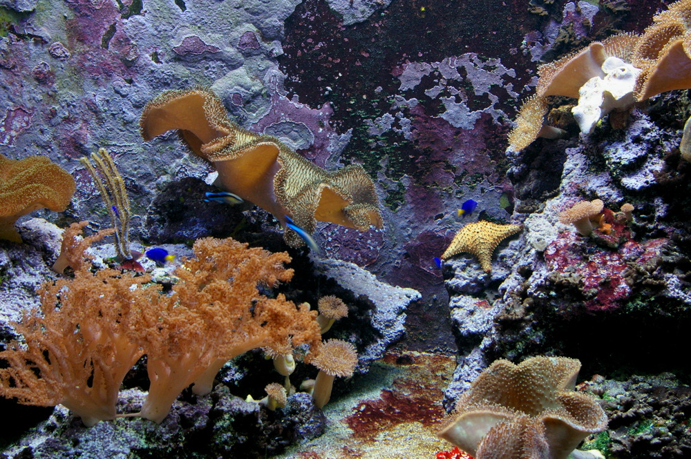 Aquarium Wilhelma Stuttgart
