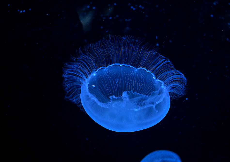 Aquarium Zoo Leipzig 04