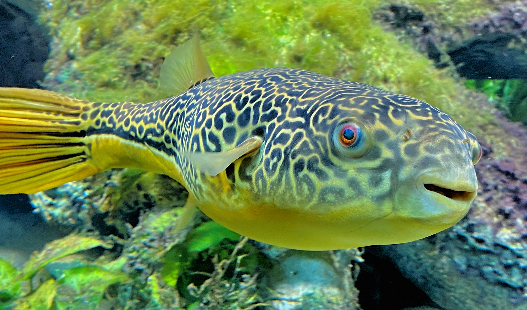 Aquarium Zoo Leipzig