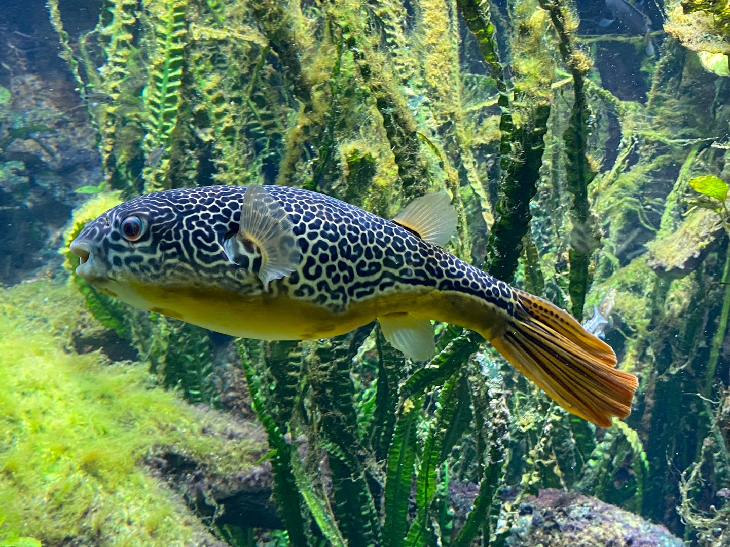 Aquarium Zoo Leipzig