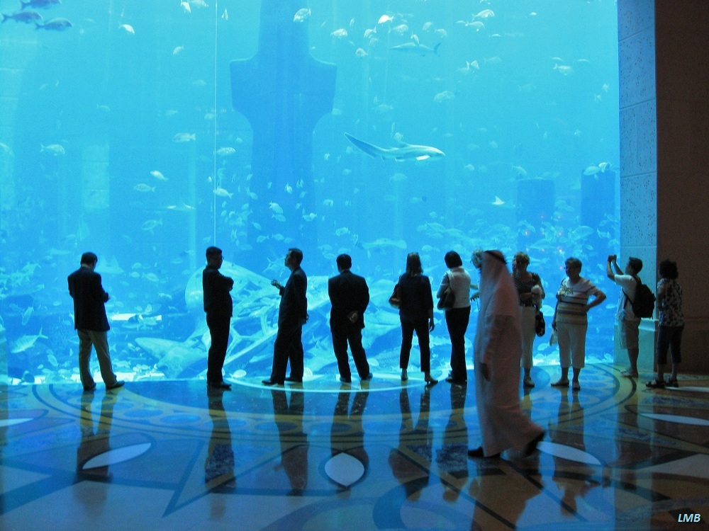 Aquariums - so large as houses