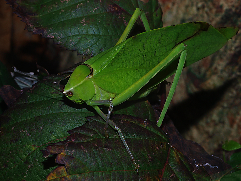 AquaZoo Düsseldorf 15