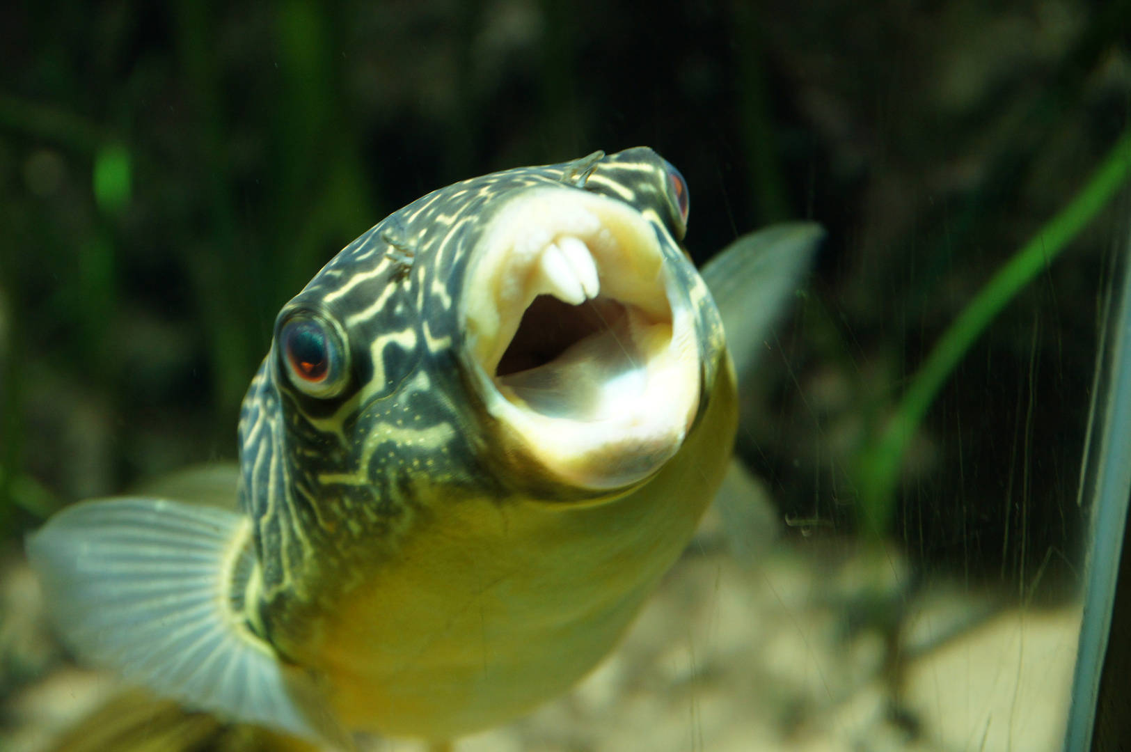 Aquazoo Düsseldorf 17