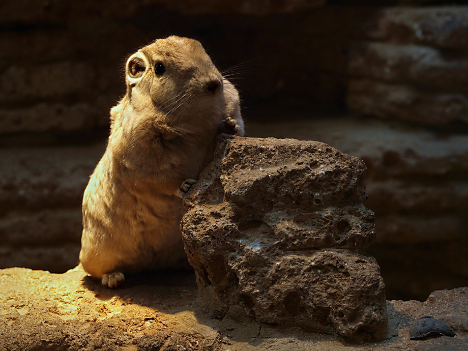 AquaZoo Düsseldorf 21