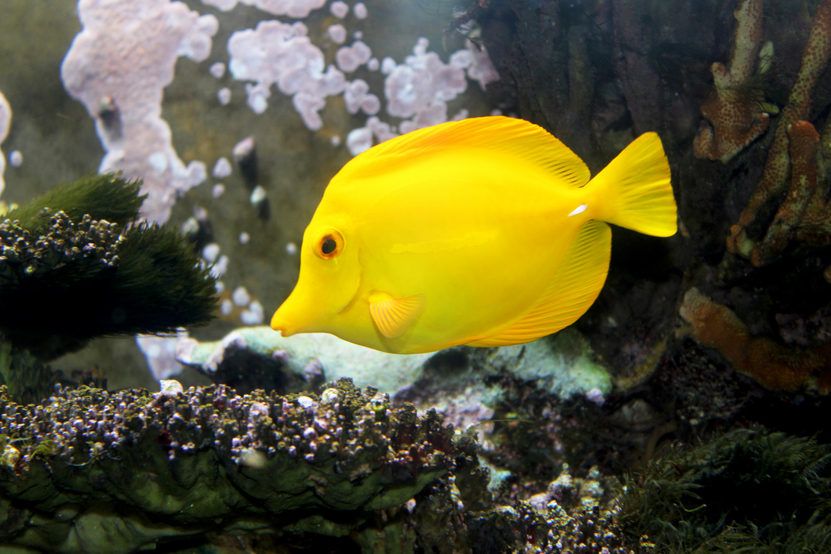 Aquazoo Düsseldorf 3