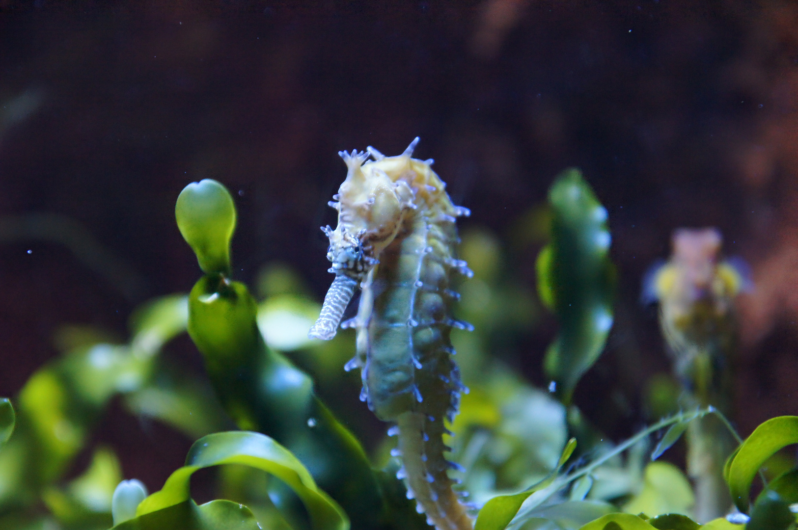 Aquazoo Düsseldorf 5