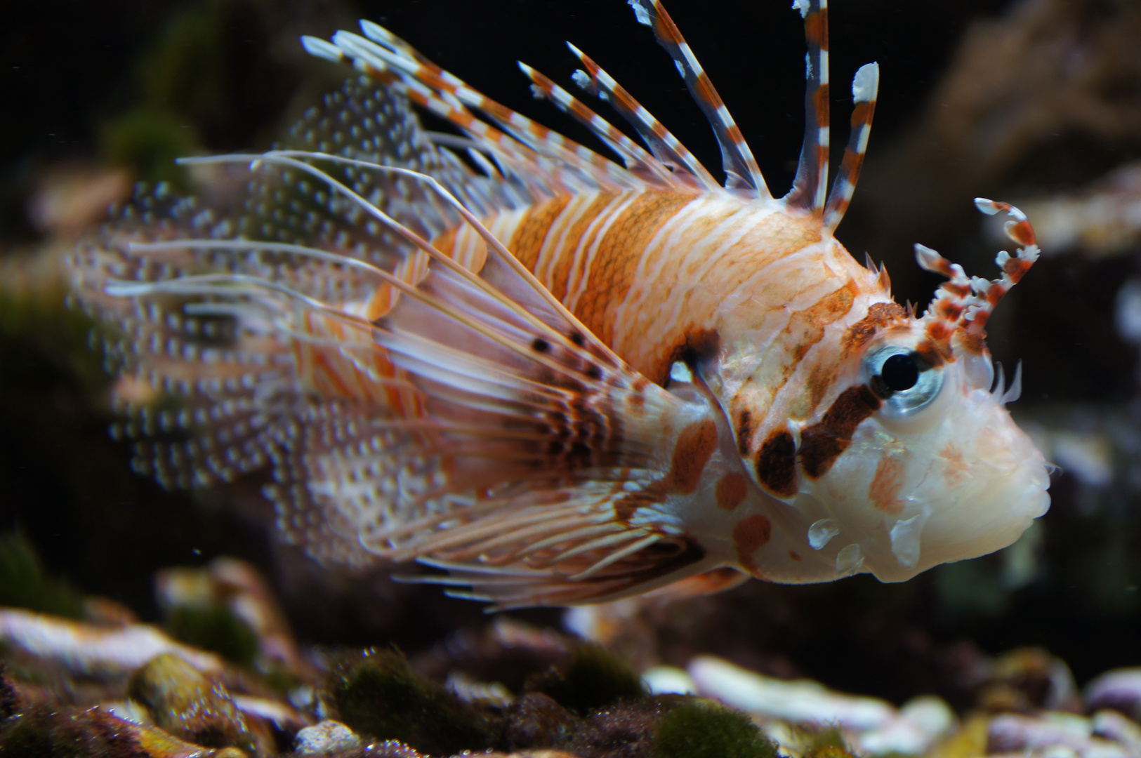 Aquazoo Düsseldorf 7