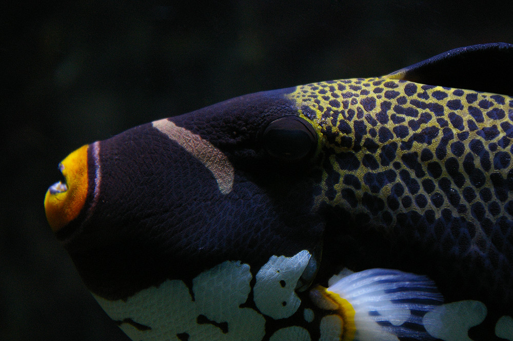 Aquazoo Düsseldorf