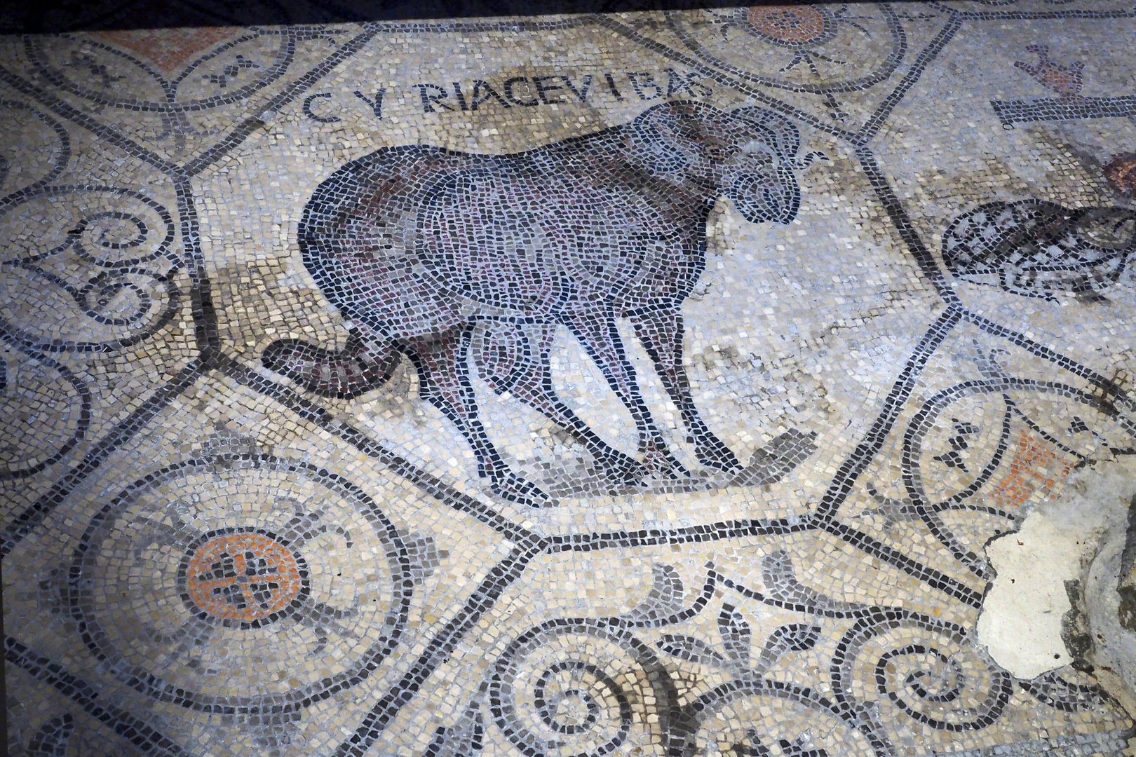 Aquileia Basilica Mosaike