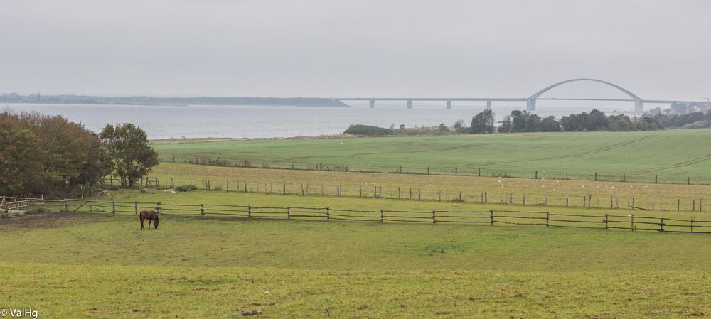 Ar the Fehmarn Bridge II