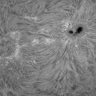 AR1108 in Ha (22.09.2010)