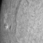 AR1109 in Ha (22.09.2010)