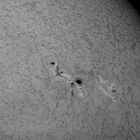 AR11429-11430 in h-alpha