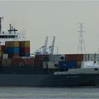 ARA ATLANTIS / Container ship / Schelde / Antwerpen