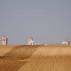 Arañando la tierra