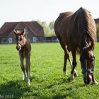 Arabella mit ihrer Mutter Askara.